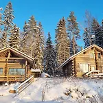 Kaunisvirta